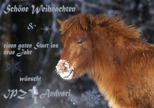 weihnachtsgruesse-andvari