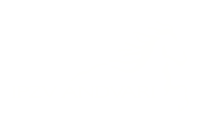 IPZV Andvari e.V.