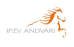 IPZV Andvari